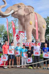 BIB: 
                            <button type="button" onclick="openModal(26527989)" class="btn btn-primary btn-sm float-right btn-popup" data-toggle="modal" data-target=".modal-high-quality">
                        <i class="fas fa-shopping-cart"></i> Add to Cart
                    </button>
                                            <button type="button" onclick="isThisMe(26527989, true)" class="btn btn-success btn-sm float-right btn-popup btn-isme hidden" data-toggle="tooltip" data-placement="bottom" title="นี่คือรูปของคุณใช่ไหม คลิกที่นี่เพื่อเอาเข้าอัลบั้ม">
                        <i class="fas fa-plus"></i> Add to album
                    </button>
                    <button type="button" onclick="isThisMe(26527989, false)" class="btn btn-warning btn-sm float-right btn-popup btn-isnotme hidden">
                        <i class="fas fa-ban"></i> Remove from album
                    </button>